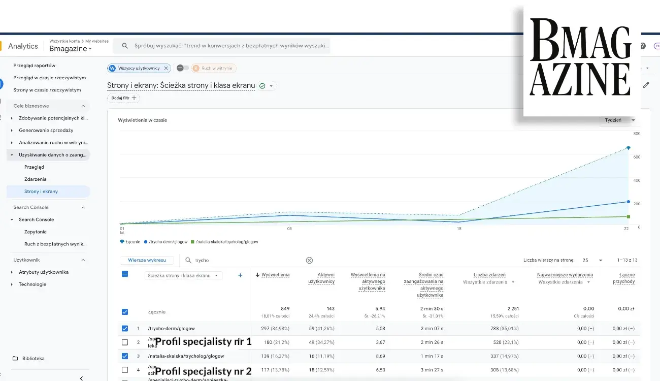 Widoczność profili członków zespołu danego brandu w Google ruch z lity 2026
